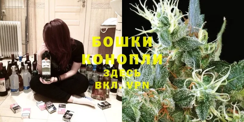 как найти закладки  Отрадная  Шишки марихуана THC 21% 